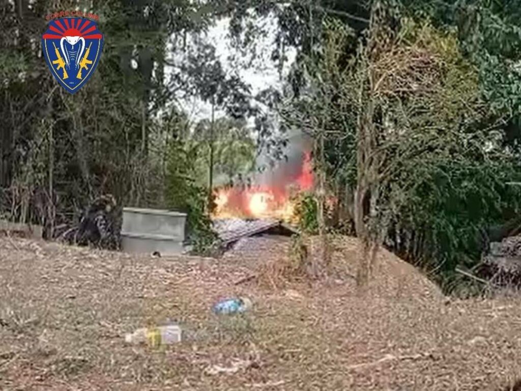 (သိမ်းဆည်းရမိသော လက်နက်ခဲယမ်းများအား တွေ့ရစဥ်။ ဓာတ်ပုံ - Cobra Column)