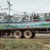 (စစ်​ကောင်စီတပ်က ဆိုင်းဖာရာရွာမှ ပြည်သူများကိုလူသားဒိုင်းအဖြစ်အသုံးပြုဖမ်းဆီး​ခေါ်​ဆောင်လာခဲ့​သော (၁၂)ဘီးကုန်တင်ကားဖြင့် ဖမ်းဆီးခံရရာမှလွတ်​မြောက်ပြီး နေရပ်ပြန်ရန်ပြင်ဆင်​နေ​သောပြည်သူများ။ ဓာတ်ပုံ-CJ)