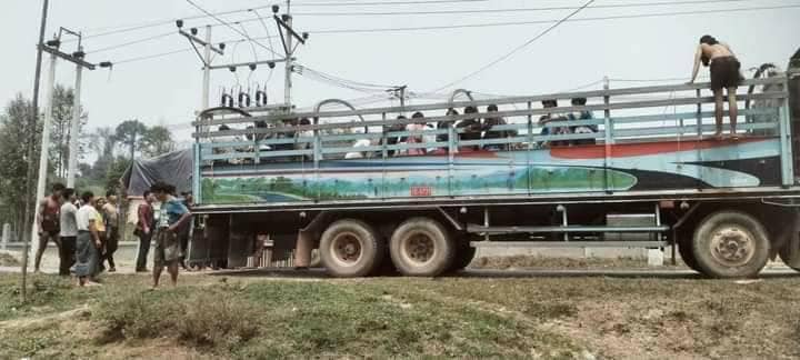 (စစ်​ကောင်စီတပ်က ဆိုင်းဖာရာရွာမှ ပြည်သူများကိုလူသားဒိုင်းအဖြစ်အသုံးပြုဖမ်းဆီး​ခေါ်​ဆောင်လာခဲ့​သော (၁၂)ဘီးကုန်တင်ကားဖြင့် ဖမ်းဆီးခံရရာမှလွတ်​မြောက်ပြီး နေရပ်ပြန်ရန်ပြင်ဆင်​နေ​သောပြည်သူများ။ ဓာတ်ပုံ-CJ)