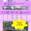 နွေဦးအင်းလျားကွန်ဒို ၁၂နာရီအတွင်း ဒေါ်လာ ၆သန်းကျော်ဖိုး​ရောင်းရဟု EOD ​ကြေညာ