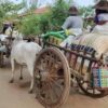 (ရေဦးနှင့် ဒီပဲယင်းအရှေ့ခြမ်း ၂မြို့နယ်စပ်ရှိ ကျေးရွာများမှ ပြည်သူများ ထွက်ပြေးတိမ်းရှောင်နေရစဥ်။ ဓာတ်ပုံ-ရေဦးမြို့နယ် စစ်ရှောင်ပြည်သူထောက်ပံ့ရေး)