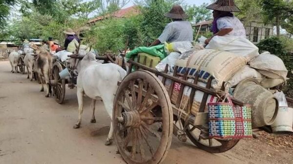 (ရေဦးနှင့် ဒီပဲယင်းအရှေ့ခြမ်း ၂မြို့နယ်စပ်ရှိ ကျေးရွာများမှ ပြည်သူများ ထွက်ပြေးတိမ်းရှောင်နေရစဥ်။ ဓာတ်ပုံ-ရေဦးမြို့နယ် စစ်ရှောင်ပြည်သူထောက်ပံ့ရေး)