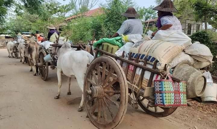(ရေဦးနှင့် ဒီပဲယင်းအရှေ့ခြမ်း ၂မြို့နယ်စပ်ရှိ ကျေးရွာများမှ ပြည်သူများ ထွက်ပြေးတိမ်းရှောင်နေရစဥ်။ ဓာတ်ပုံ-ရေဦးမြို့နယ် စစ်ရှောင်ပြည်သူထောက်ပံ့ရေး)