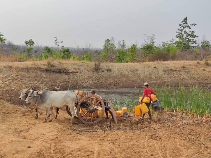 (ခင်ဦးမြို့နယ်အတွင်း ရေခမ်းခြောက်နေသောအိုင်များအား တွေ့ရစဥ်။ ဓာတ်ပုံ-ခင်ဦးမြို့နယ် သတင်းမှန်ပြန်ကြားရေးအဖွဲ့)