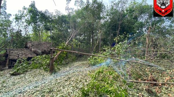 (ကျားဖြူစစ်ကြောင်းအား စစ်ကောင်စီတပ် လေကြောင်းတိုက်ခိုက်ခံရပြီးနောက် တွေ့ရစဥ်။ ဓာတ်ပုံ - Albino Tiger Company-1)