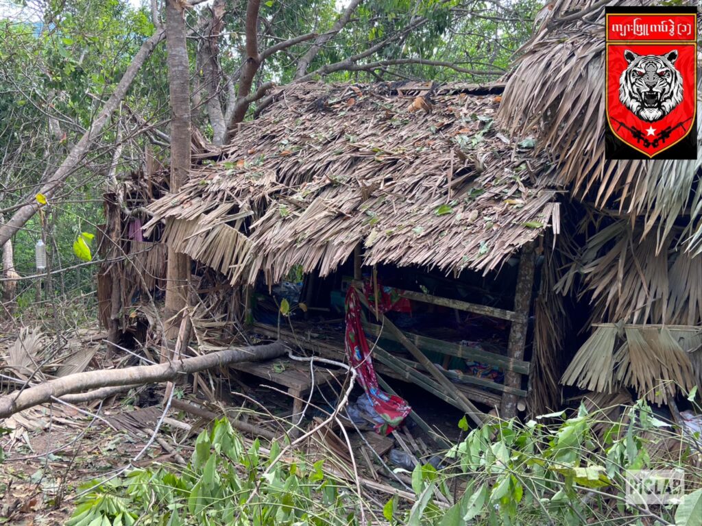 (ကျားဖြူစစ်ကြောင်းအား စစ်ကောင်စီတပ် လေကြောင်းတိုက်ခိုက်ခံရပြီးနောက် တွေ့ရစဥ်။ ဓာတ်ပုံ - Albino Tiger Company-1)