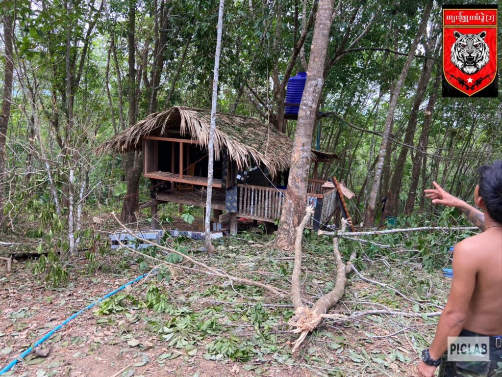 (ကျားဖြူစစ်ကြောင်းအား စစ်ကောင်စီတပ် လေကြောင်းတိုက်ခိုက်ခံရပြီးနောက် တွေ့ရစဥ်။ ဓာတ်ပုံ - Albino Tiger Company-1)