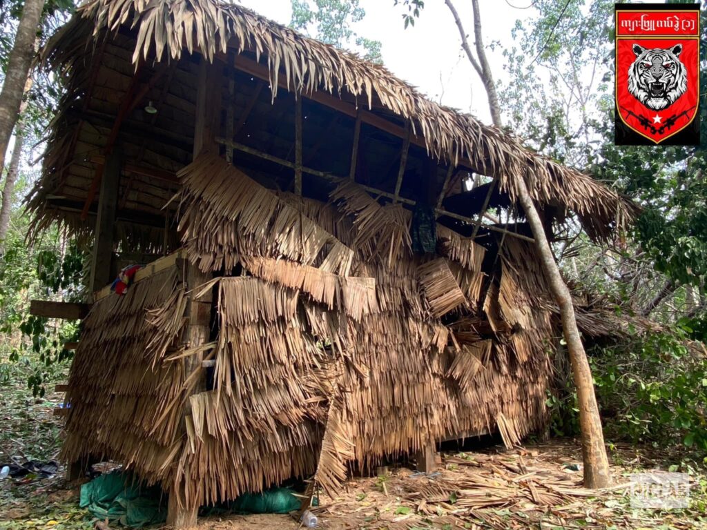 (ကျားဖြူစစ်ကြောင်းအား စစ်ကောင်စီတပ် လေကြောင်းတိုက်ခိုက်ခံရပြီးနောက် တွေ့ရစဥ်။ ဓာတ်ပုံ - Albino Tiger Company-1)