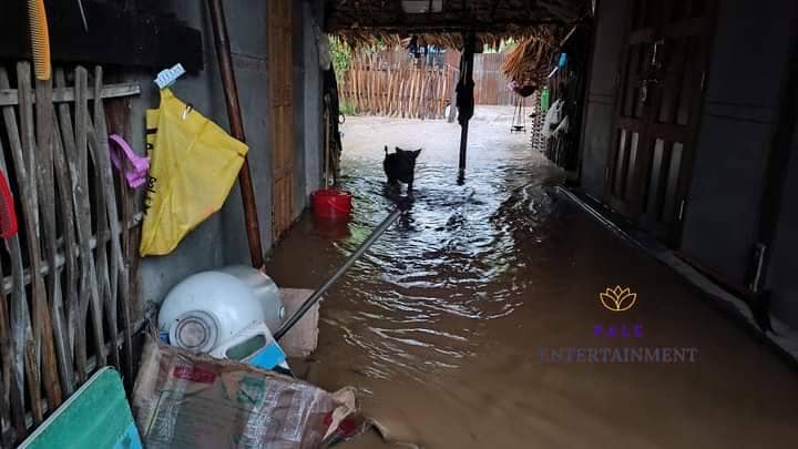 (ခင်ဦးနှင့် ရေဦးနယ်သို့ ဆက်သွယ်ထားသောပျက်စီးသွားသည့် ကိုယ်ထူကိုယ်ထတံတားအား တွေ့ရစဥ်နှင့် ပုလဲနယ်အတွင်း မိုခါမုန်တိုင်းကြောင့် ပျက်စီးဆုံးရှုံးမှုများအား တွေ့ရစဥ်။ ဓာတ်ပုံ - Pale Entertainment၊ KDK)