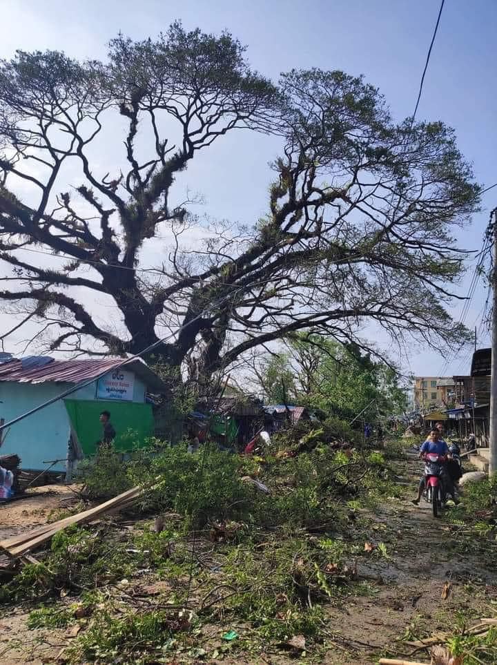 (မိုခါမုန်တိုင်းတိုက်ခတ်ပြီးနောက် ရခိုင်ပြည်နယ်ရှိ စစ်တွေ၊ ကျော်တော်၊ဂွမြို့နယ်တို့ရှိ မြင်ကွင်းများ။ ဓာတ်ပုံ - Khaing Ko Zin၊ Ko Gyi Kyaw၊ CJ)
