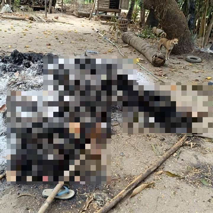 (စစ်တပ်က သတ်၍ မီးရှို့ထားသော ရုပ်အလောင်းများ/အသတ်ခံရသူများစာရင်း။ ဓါတ်ပုံ-ထန်းတပင်ပကဖ)