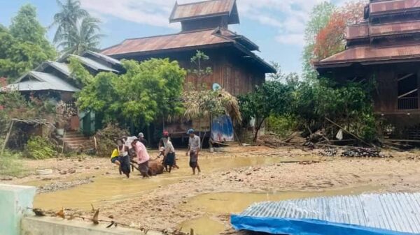 (ဆင်ဖြူကျွန်းမြို့ပေါ်တွင် ရေများကျဆင်းသွားပြီးနောက် တွေ့ရစဥ်။ ဓာတ်ပုံ-Cj)