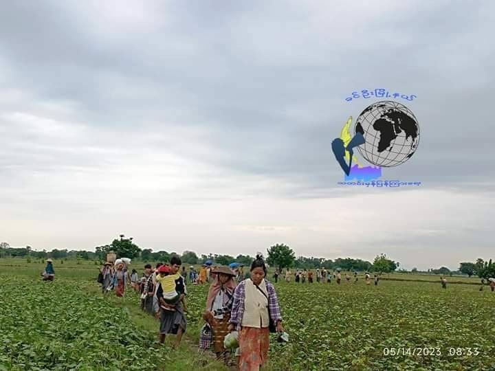 (ထွက်ပြေးတိမ်းရှောင်နေရသော ခင်ဦးနယ်ပြည်သူများအား တွေ့ရစဥ်။ ဓာတ်ပုံ - ခင်ဦးမြို့နယ်သတင်းမှန်ပြန်ကြားရေး)