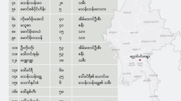 ညောင်ပင်သာရွာ အစုလိုက်၊အပြုံလိုက်သတ်ဖြတ်မှုကျူးလွန်သည့် စစ်ကောင်စီက PDF အယောင်ဆောင် ပြီး ဒေသခံများကို ခေါ်ယူသတ်ဖြတ်ခဲ့ဟု မိသားစုဝင် ပြော