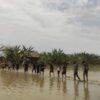 (စစ်ဘေးရှောင်တဲများအား ပြန်လည်ရှင်းလင်းတည်ဆောက်ရာတွင် ပြည်သူ့ရဲဘော်များ ကူညီပေးနေစဥ်။ ဓာတ်ပုံ-ပြည်သူ့တော်လှန်ရေးတပ်ဦး)