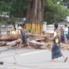 ပြင်ဦးလွင် အနီးစခန်းမှာ သစ်ပင်ပိလို့ အမျိုးသားတစ်ဦးသေဆုံး