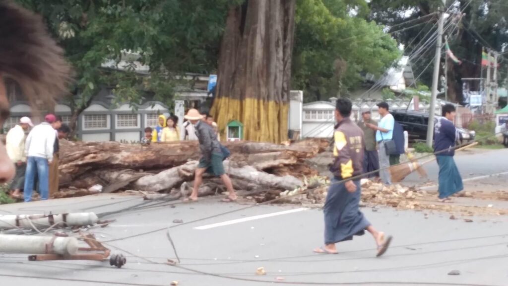 ပြင်ဦးလွင် အနီးစခန်းမှာ သစ်ပင်ပိလို့ အမျိုးသားတစ်ဦးသေဆုံး