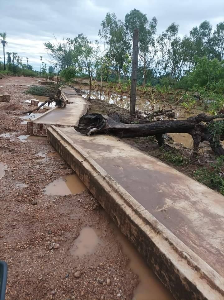 (ယင်းမာပင်နယ်ရှိ ကျေးရွာချင်းဆက်လမ်းများ ပျက်စီးနေသည်ကို တွေ့ရစဥ် နှင့် ဆားလင်းကြီးနယ်ရှိ စစ်ဘေးရှောင်နေအိမ်အချို့ ရေများဝင်ရောက်နေစဥ်။ ဓာတ်ပုံ- ပြည်ထောင်စုလွတ်မြောက်ရေးတပ်ဦး(ဗဟို)၊ အညာပစ်တိုင်းထောင်လေးများ)