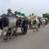 (စစ်ကောင်စီစစ်ကြောင်းကြောင့် ထွက်ပြေးတိမ်းရှောင်လာသော ကန့်ဘလူနယ်က ဒေသခံများအား တွေ့ရစဥ်။ ဓာတ်ပုံ-ကျွန်းလှ ကန့်ဘလူ တက်ကြွလှုပ်ရှားသူများအဖွဲ့ -ကန့်ဘလူခရိုင်)