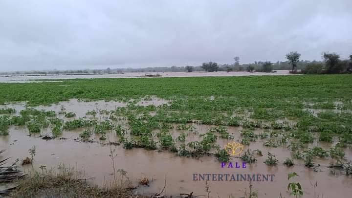 (ခင်ဦးနှင့် ရေဦးနယ်သို့ ဆက်သွယ်ထားသောပျက်စီးသွားသည့် ကိုယ်ထူကိုယ်ထတံတားအား တွေ့ရစဥ်နှင့် ပုလဲနယ်အတွင်း မိုခါမုန်တိုင်းကြောင့် ပျက်စီးဆုံးရှုံးမှုများအား တွေ့ရစဥ်။ ဓာတ်ပုံ - Pale Entertainment၊ KDK)
