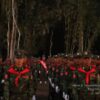 (နှစ် ၆၀ပြည့် တအောင်းအမျိုးသားတော်လှန်ရေးနေ့ အခမ်းအနားတွင် တအောင်းတပ်မတော်မှ ရဲဘော်များစစ်ရေးလေ့ကျင့်နေစဉ်။ ဓာတ်ပုံ - TNLA)