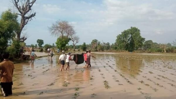 (ရေထဲမျောပါသေဆုံးခဲ့သည့် အသက်၂၂အရွယ်လူငယ်ရုပ်အလောင်းအား ပြန်လည်သယ်ယူလာစဥ်။ ဓာတ်ပုံ - Cj)