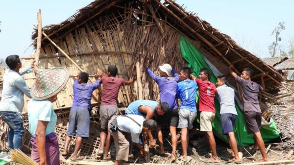(မိုခါမုန်တိုင်း​ကြောင့် ထိခိုက်ပျက်စီးမှုအများဆုံးရခိုင်ပြည် နယ်တွင် AAတပ်ဖွဲ့ဝင်များ ပြန်လည်ထူ​ထောင်​ရေးတွင် ပါဝင်လုပ်ကိုင်​နေစဥ်။ ဓာတ်ပုံ - AA)