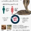 (ကန့်ဘလူခရိုင်အတွင်းမြွေဆိုးကိုက်ခံရမှုအ​ခြေပြအင်ဖိုဂရပ်/ ​စစ်​ဘေး​ရှောင်များကိုအန္တရာယ်ပြု၍သတ်ထား​သော​မြွေ​ပွေးများ/​မွေးကိုက်ခံထားရ​သောစစ်​ဘေး​ရှောင်တစ်ဦး/​ယူနီဆက်မြန်မာ၏မြွေဆိုးအန္တရာယ်အသိပညာ​ပေးလက်ကမ်းစာ​စောင်။ ဓာတ်ပုံ-ကျွန်းလှ ကန့်ဘလူ တက်ကြွလှုပ်ရှားသူများအဖွဲ့-ကန့်ဘလူခရိုင်)