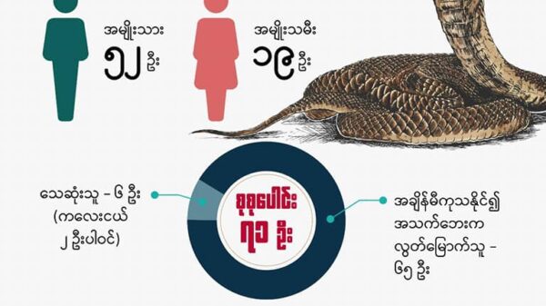 (ကန့်ဘလူခရိုင်အတွင်းမြွေဆိုးကိုက်ခံရမှုအ​ခြေပြအင်ဖိုဂရပ်/ ​စစ်​ဘေး​ရှောင်များကိုအန္တရာယ်ပြု၍သတ်ထား​သော​မြွေ​ပွေးများ/​မွေးကိုက်ခံထားရ​သောစစ်​ဘေး​ရှောင်တစ်ဦး/​ယူနီဆက်မြန်မာ၏မြွေဆိုးအန္တရာယ်အသိပညာ​ပေးလက်ကမ်းစာ​စောင်။ ဓာတ်ပုံ-ကျွန်းလှ ကန့်ဘလူ တက်ကြွလှုပ်ရှားသူများအဖွဲ့-ကန့်ဘလူခရိုင်)