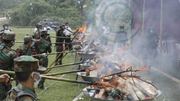 (ယမန်နေ့(ဇွန် ၂၆ရက်)က ကျရောက်သည့် ကမ္ဘာ့မူးယစ်ဆေးဝါးတိုက်ဖျက်ရေးနေ့၌ မူးယစ်ဆေးဝါးများအား မီးရှို့ဖျက်ဆီးနေစဉ်။ ဓာတ်ပုံ - TNLA)