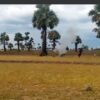 (အရာတော်မြို့အခြေစိုက် အမှတ်( ၁၀) စစ်သားစုဆောင်းရေးတပ်အား​ဒေသခံ​တော်လှန်​ရေးအဖွဲ့များက လက်လုပ်လက်နက်ကြီးများဖြင့် ပစ်ခတ်တိုက်ခိုက်စဥ်။ ဓါတ်ပုံ-DFLPDF)