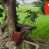 (ကျွဲရိုင်းပြင်တံတားဂိတ်တိုက်ခိုက်မှုမှ စနိုက်ပါသမား တော်လှန်ရေးရဲဘော်တစ်ဦးအား တွေ့ရစဥ်)