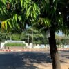 (ဇူလိုင် ၂၄ ရက်ညက ဗုံးပစ်တိုက်ခိုက်ခံရသည့်စစ်​ကောင်စီ ပဲခူးတိုင်းဒေသကြီးအစိုးရအဖွဲ့ရုံး /ပုံအဟောင်းဖြစ်ပါသည်။ဓါတ်ပုံ-CJ)