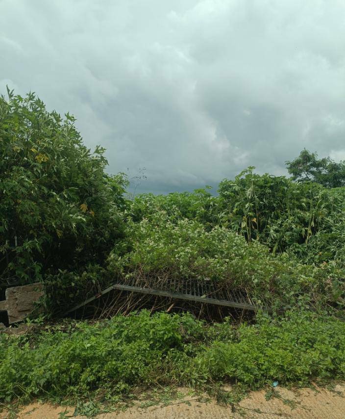ပြင်ဦးလွင်မှာ အကွက်ရိုက်ရောင်းတဲ့နေရာတွေ စဖျက်နေ