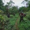 (ကချင်လွတ်လပ်ရေးတပ်မတော်(KIA)မှ တပ်သားများအား တွေ့ရစဥ်။ ဓာတ်ပုံ - KIA)