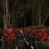 TNLA တပ်ဖွဲ့ဝင်တွေကိုတွေ့ရစဉ် (ဓာတ်ပုံ − TNLA)