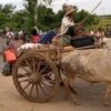 (ထွက်ပြေးတိမ်းရှောင်နေရသည့် ဒေသခံပြည်သူများအား တွေ့ရစဥ်။ ဓာတ်ပုံ - ဒီပဲယင်းမြို့နယ်ညီနောင်များ)