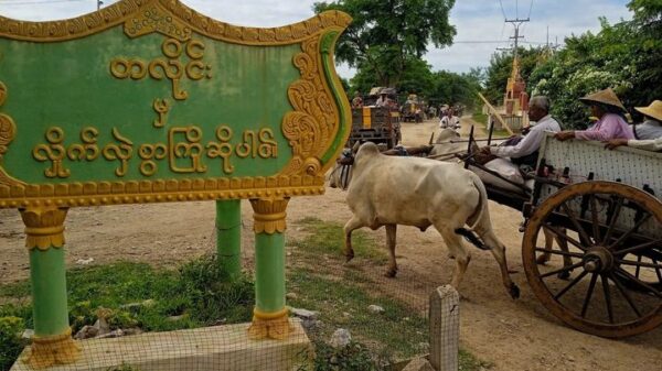 (စစ်ကောင်စီတပ် စစ်ကြောင်းထိုးမှုကြောင့် စစ်ကိုင်းမြို့နယ် တလိုင်းရွာဒေသခံများ ဘေးလွတ်ရာတိမ်းရှောင်ရန်ပြင်ဆင်နေကြစဥ်။ ဓာတ်ပုံ - U Pyay)