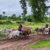 (ထွက်ပြေးတိမ်းရှောင်လာရသော ပြည်သူများအား တွေ့ရစဥ်။ ဓာတ်ပုံ-ခင်ဦးမြို့နယ်သတင်းမှန်ပြန်ကြားရေး)