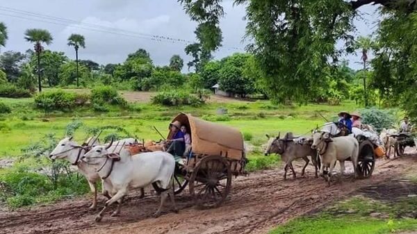 (ထွက်ပြေးတိမ်းရှောင်လာရသော ပြည်သူများအား တွေ့ရစဥ်။ ဓာတ်ပုံ-ခင်ဦးမြို့နယ်သတင်းမှန်ပြန်ကြားရေး)