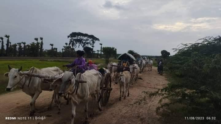 (စစ်ကိုင်းတိုင်းမှ စစ်​ဘေး​ရှောင်ပြည်သူ​တွေ။ဓါတ်ပုံ-ခင်ဦးမြို့နယ်သတင်းမှန်ပြန်ကြား​ရေး၊CJ)