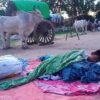 (ယမန်နှစ်အတွင်းက စစ်ကောင်စီစစ်ကြောင်းကြောင့် ထွက်ပြေးတိမ်းရှောင်ခဲ့ရသည့် စစ်ကိုင်း-မြင်းမူနယ်စပ်က ပြည်သူများအား တွေ့ရစဥ်။ ဓာတ်ပုံ-Cj)