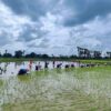 (ပြည်သူကိုနည်းမျိုးစုံဖြင့် စစ်ဆေးဒုက္ခပေးလေ့ရှိသည့် စစ်ကောင်စီစစ်ဆေးရေးဂိတ်များနှင့် ​ပုလဲ​မြေဆီအိတ်များ၊​ကောက်စိုက်​နေ​သော​တောင်သူများအား တွေ့ရစဥ်။ဓါတ်ပုံ-CJ)