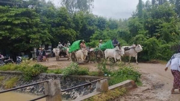 (ယနေနံနက်ပိုင်းက မိုးရွာထဲ ထွက်ပြေးတိမ်းရှောင်လာသော ဒီပဲယင်းနယ်အနောက်ခြမ်းကျေးရွာနေ ပြည်သူများအား တွေ့ရစဥ်။ ဓာတ်ပုံ - ဒီပဲယင်းမြို့နယ်စစ်ရှောင်ထောက်ပံ့ရေး)