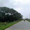 (ပဲခူးမြို့ရှိ မြို့ရှောင်လမ်းမကြီး/ပုံအဟောင်းဖြစ်ပါသည်။ ဓါတ်ပုံ-CJ)