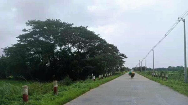 (ပဲခူးမြို့ရှိ မြို့ရှောင်လမ်းမကြီး/ပုံအဟောင်းဖြစ်ပါသည်။ ဓါတ်ပုံ-CJ)