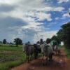 (စစ်​ကောင်စီတပ်က ရဟတ်ယာဥွ်ဖြင့်ပစ်ခတ်၍ ထွက်​ပြေးတိမ်း​ရှောင်​နေရ​သော ပြည်သူများ။ဓါတ်ပုံ-CJ)