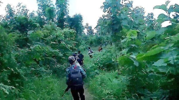 (သာယာဝတီခရိုင် တပ်ရင်း ၃၈၀၂၊ တပ်ခွဲ-၅ မှ တော်လှန်ရေးရဲဘော်များအား ပဲခူးရိုးမ တောတွင်းတစ်နေရာတွင် တွေ့ရစဥ်။ ဓာတ်ပုံ - ပေးပို့)