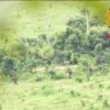 (ပြီးခဲ့သည့် စက်တင်ဘာက ဒီးမော့ဆိုမှ ဖရူဆိုမြို့နယ်သို့ စစ်ကြောင်းထိုးဝင်ရောက်ခဲ့သည့် စစ်ကောင်စီတပ်သားများအား တွေ့ရစဥ်။ ဓာတ်ပုံ - KNDF)