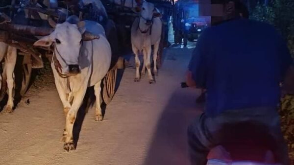 (ထွက်ပြေးတိမ်းရှောင်လာသော ပြည်သူများအား တွေ့ရစဥ်။ဓာတ်ပုံ-ဒီပဲယင်းမြို့နယ်စစ်ရှောင်ထောက်ပံ့ရေးအဖွဲ့)